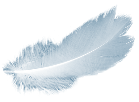 Mit der Erweiterung des Bewußtseins schaffen wir eine Entlastung für Körper, Geist & Seele